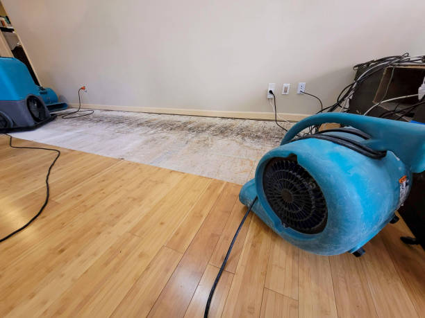 Reliable Basement Flood Cleanup contractor in Bellville, TX by Hirex Water Damage