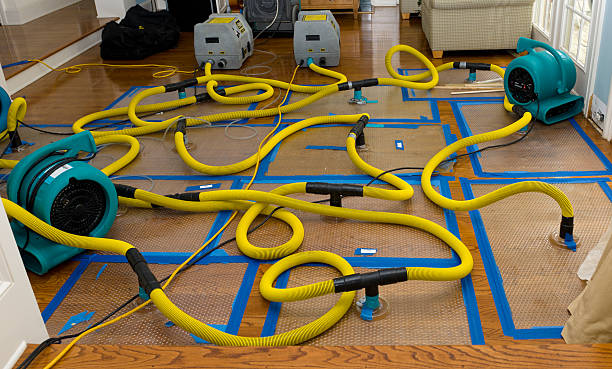 Professional Basement Flood Cleanup technician working in Bellville, TX